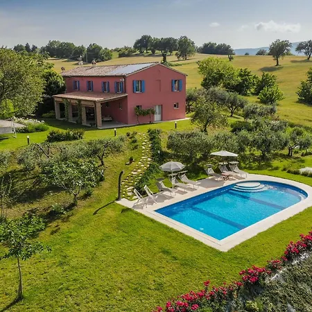 Del Cucco Fossombrone